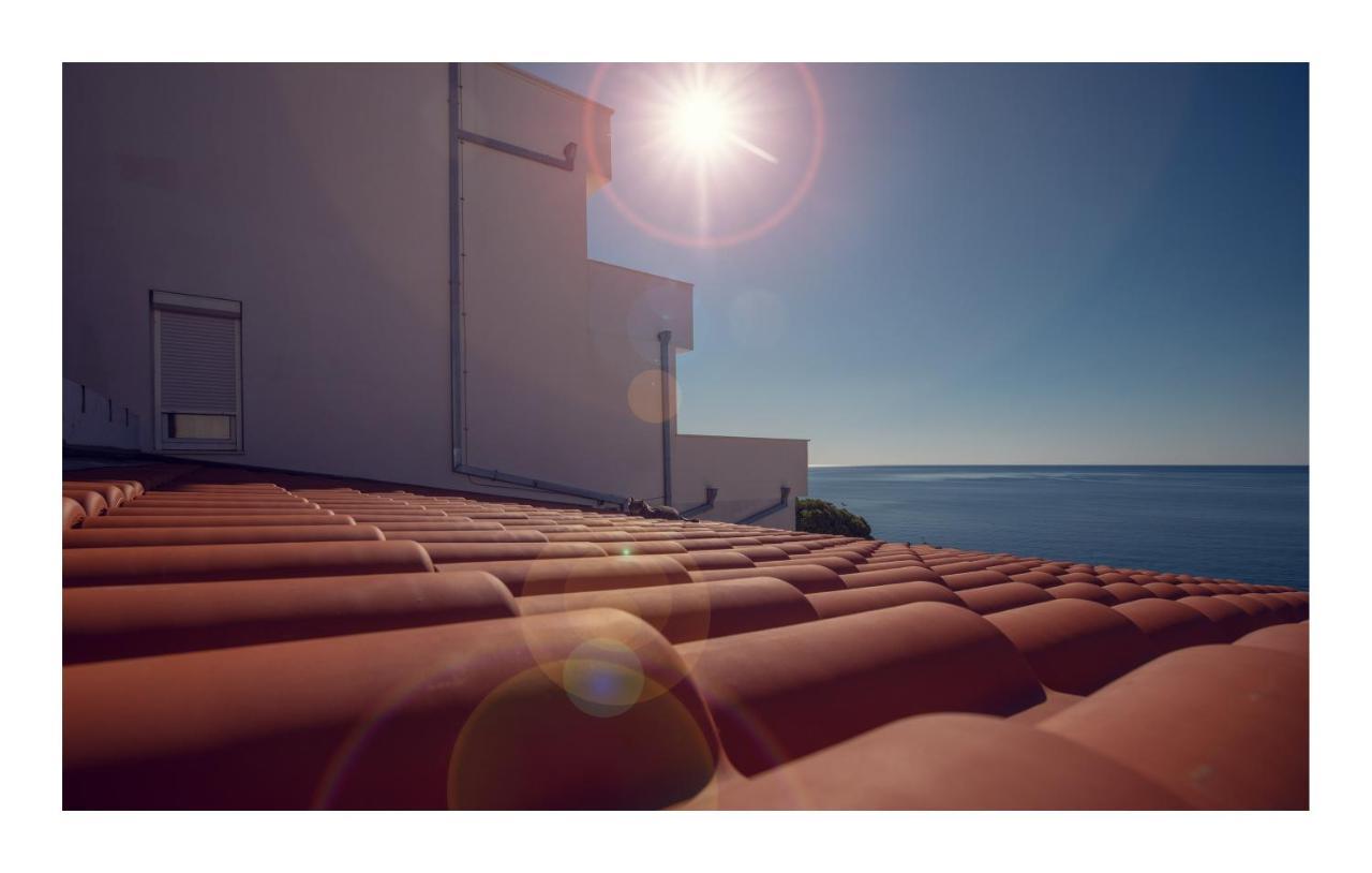 Condo With A Breathtaking View دوبروفينك المظهر الخارجي الصورة